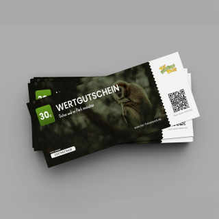 20€ Wertgutschein